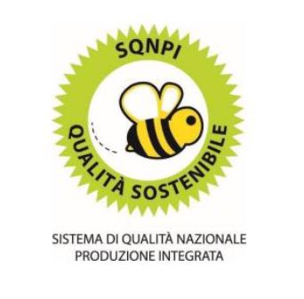 logo sqnpi