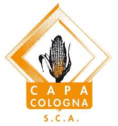 capa-colognaL_m