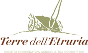 terre dell'Etruria L